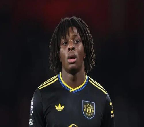 TA:曼联球员多古腿筋受伤,预计伤缺10周