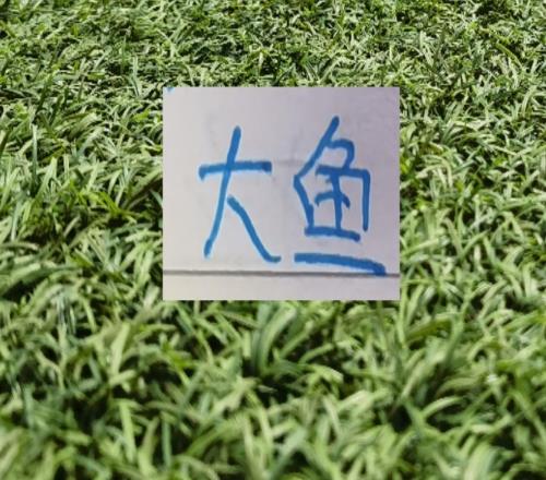 U23亞洲杯后去年中超攔截王楊希最終會去哪里