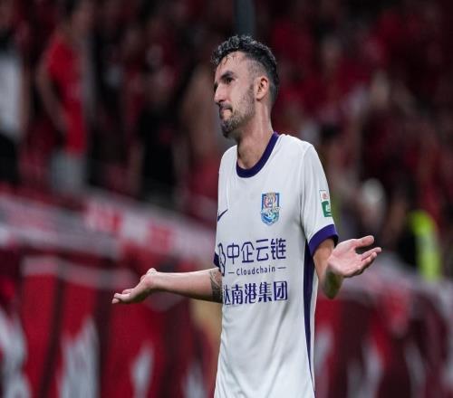 申花津門虎為何遭重罰媒體人熱議：爛兄爛弟，再次受罰屬于慣犯