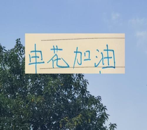 新賽季！天津跟申花一起負(fù)10分起步誰會先拿到積分呢