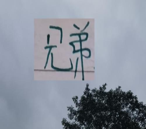 有馬萊萊的大連英博還有中超外援身價最高的鐵人今年也開足馬力