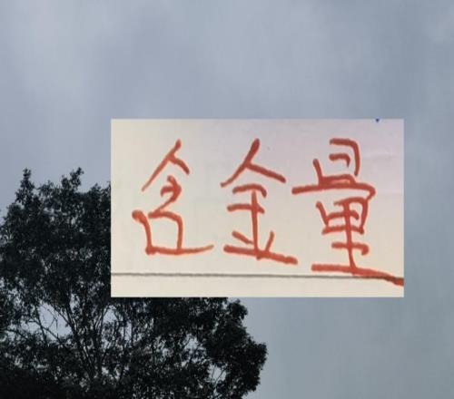 歸化球員也是稀缺資源！上個(gè)賽季前4就海港申花北京國(guó)安有