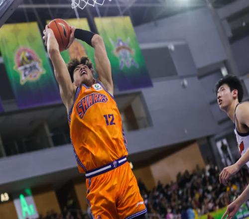 一個急救兵，砍15+5讓準國手無地自容，球迷：張鎮麟終于有替補了