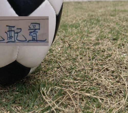 申花的人员配置在中超是够用的就看3月能否扭转局势!