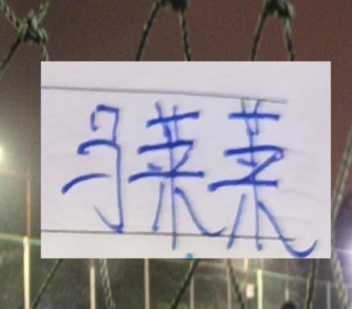 有马莱莱大连或者其他中游球队谁能代替被扣10分申花进前5!