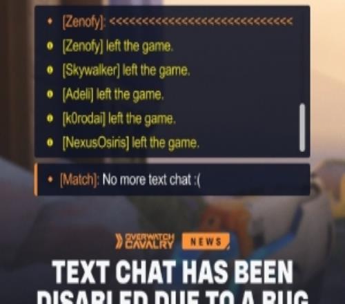 《守望先锋》出现严重恶性Bug,暴雪全球紧急停用文本聊天功能