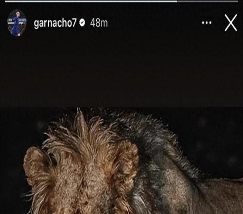 加納喬再惹爭議：賽前曬“嗜血雄獅”遭群嘲，切爾西或將其清洗