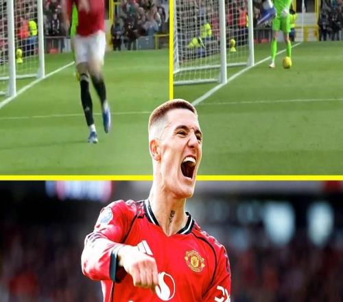 彈跳驚人，謝什科慶祝時跳得太高在鏡頭前出畫了