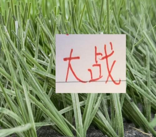 超級(jí)杯大戰(zhàn)！斯盧茨基也是刺探軍情！北京國(guó)安氣勢(shì)申花能守住嗎