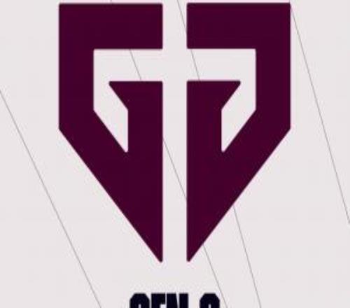 就差LPL了！先鋒賽其余賽區(qū)隊(duì)伍全部確認(rèn)：GEN、BFX、G2、Loud、LYON