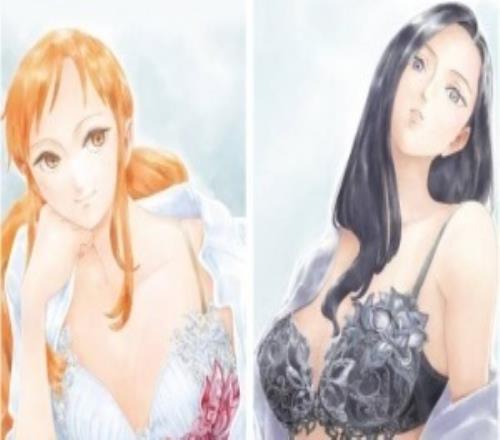 日本內衣品牌聯動《海賊王》外傳：娜美與羅賓新造型驚艷亮相