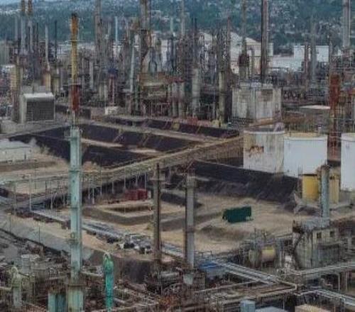 浙江廣廈男籃有新變化，衛(wèi)冕路上再添“強援”