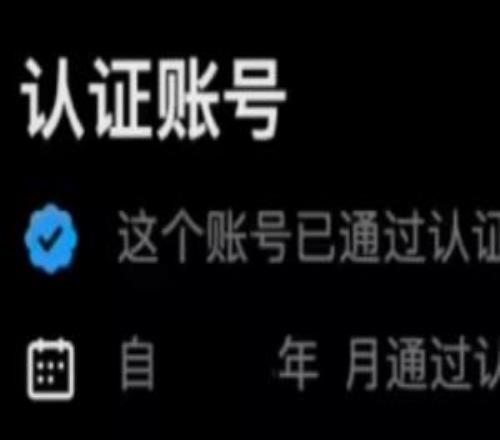 歐盟重罰1.2億歐元！馬斯克旗下X平臺“藍標”認證機制將整改