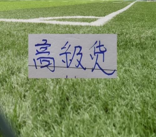 超頻版本馬萊萊登巴巴的同胞在申花外援中鋒會是高級貨嗎