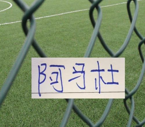 前3輪！中超球隊找到寶藏外援申花送給重慶阿馬杜真是撿漏