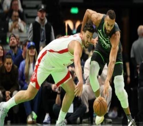 森林狼逆火箭：申京努力了，然而杜蘭特啊