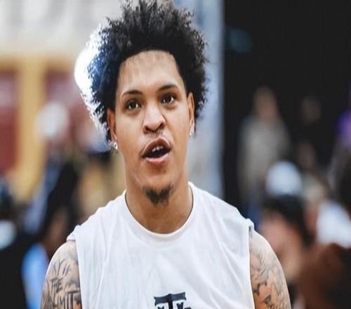 野球場天花板羅布與哈特,真能去CBA搶外援工作嗎