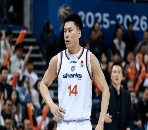 上海展冠军相!双外驱动奠定基本盘,投手稳定输出,防守搭建极佳