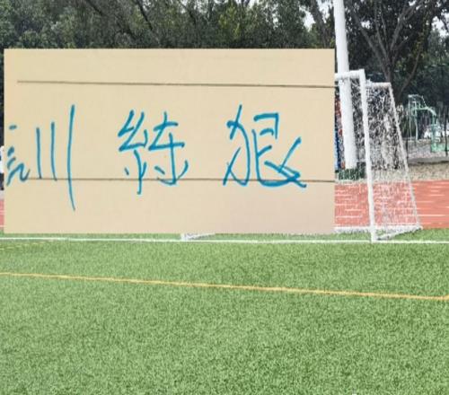 還沒到4月份申花就有6傷員是前俄教練訓得太狠嗎