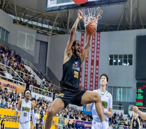 山東蜜獾第一年：一群在NBL"陪跑"的年輕人，圖什么