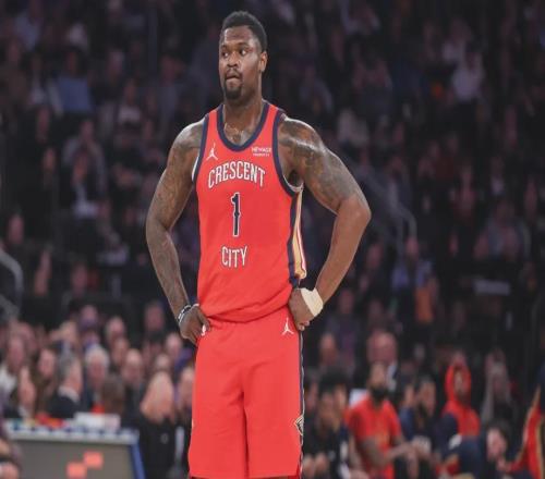 鵜鶘與國王，菜雞互啄，但鵜鶘是真克星！