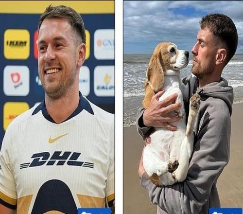 沒找回狗傷心到退役35歲前阿森納球星拉姆塞官宣掛靴！