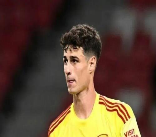 阿森納！雙冠王夢想繼續(xù)！