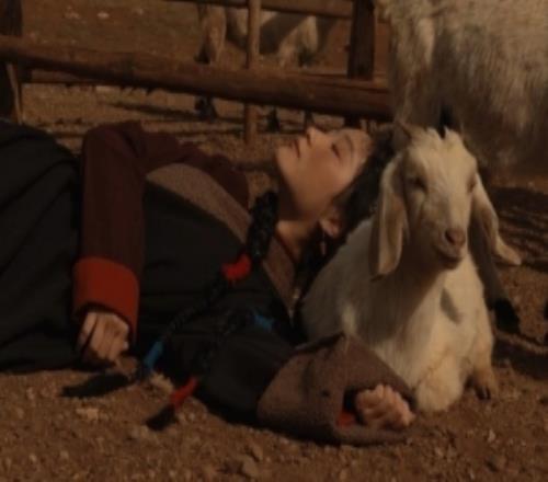 KPL主持一雪發(fā)布寫真：火為源，天地之間，有生命之物