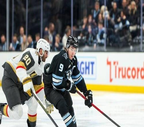 NBA球迷嫌drama太多，冰球季后賽把強(qiáng)度拉滿：Utah球員興奮到說不出話