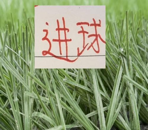 成都拿下北京國(guó)安等于冠軍嗎畢竟5輪能轟下16球只有他們一家