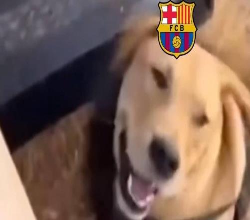 馬競(jìng)官方發(fā)meme調(diào)侃巴薩：摘掉獅子的頭套，發(fā)現(xiàn)其實(shí)是小狗