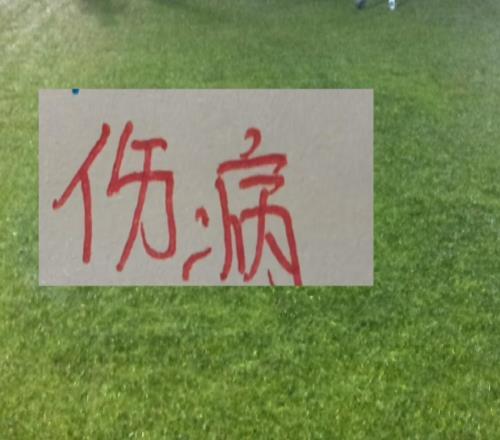 上海雙雄同病相憐!去年申花猛將半程不到就報銷今年輪到鄰居了