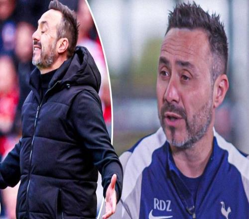 德澤爾比：熱刺是否降級不會左右我的未來希望范德芬成領袖