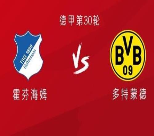 多特客戰霍村：小貝林首發，丘庫埃梅卡、法比奧席爾瓦出戰