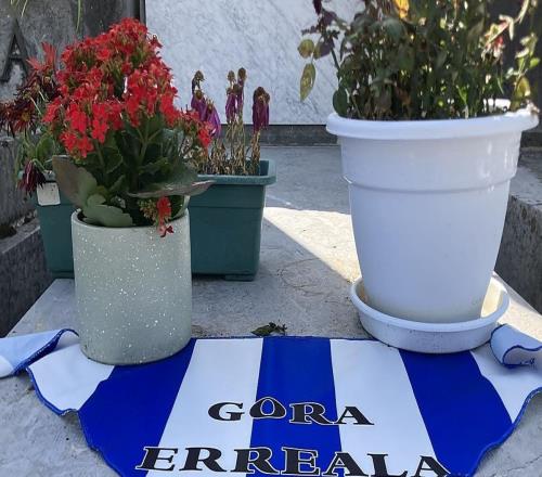 祭慰先靈，皇社奪冠后當(dāng)?shù)厍蛎詾槿ナ赖那蛎杂H人墓碑掛上隊(duì)旗