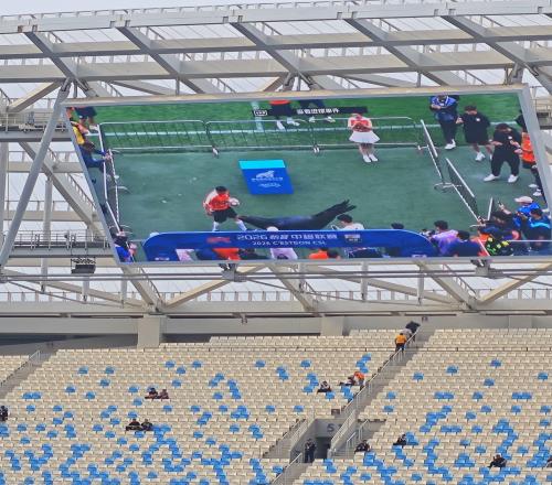 趣味十足，海牛主場對陣泰山的齊魯德比前現場進行了海獅表演