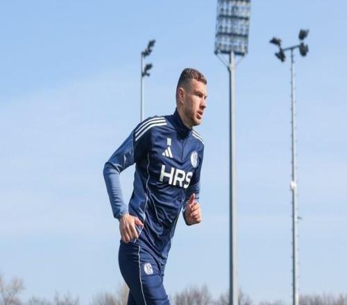 沙爾克04更新球隊傷情：哲科已逐漸康復(fù)，目前將先進行單獨訓(xùn)練