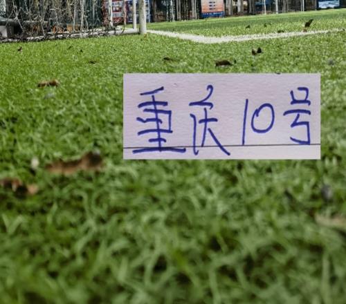 少見！重慶10號阿馬杜跟申花10號特謝拉一起入選第8輪MVP候選