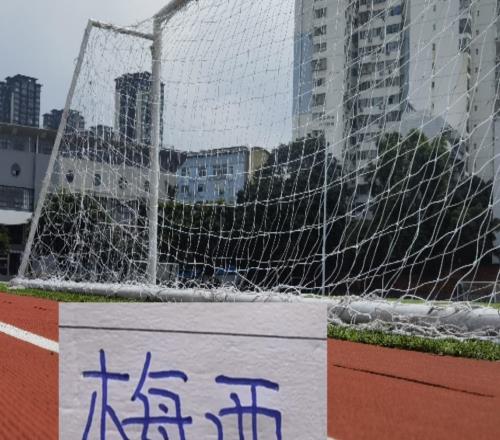 美国总统说梅西比贝利厉害沙特联赛不停球迷担心海港旧将