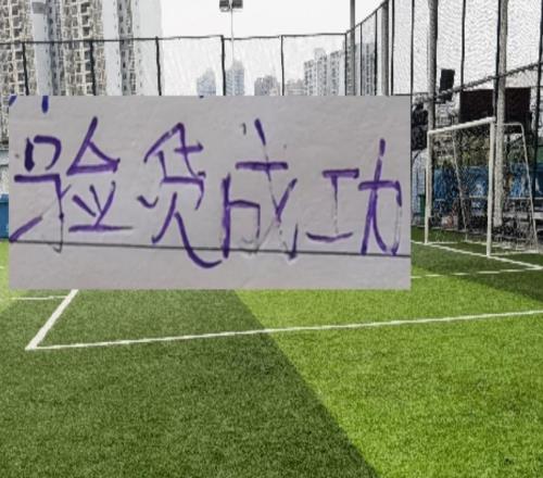 验货成功！山东泰山葡萄牙中卫表现神勇就等北京国安提高含金量