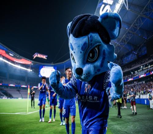 今晚报:申花与津门虎上演残阵较量主帅调整能力大考验_中超直播