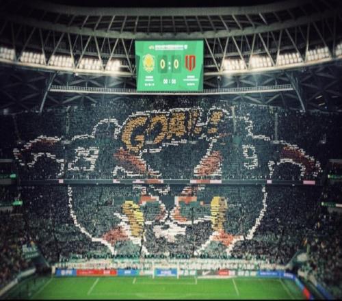 张玉宁晒以自己为原型的工体TIFO照并致谢:感恩,铭记!