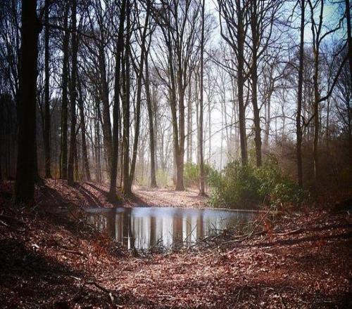 热刺降级倒计时：2.5亿英镑窟窿怎么填