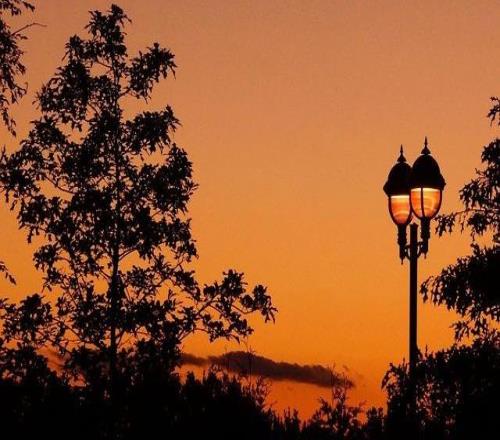 布鲁诺踢利兹联为何像开挂