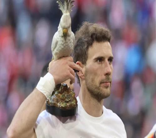 格雷茨卡：本想多去享受比赛，但我求胜欲太强了只想赢球