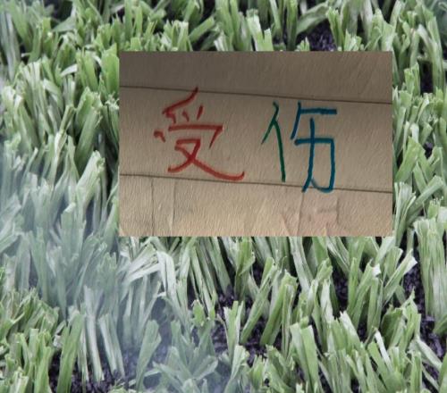 算是打工人天花板吗米内罗又缺席第7轮申花的比赛