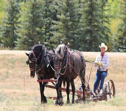 老鹰队选秀夜：专家押注的"隐形宝藏"