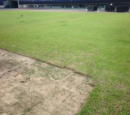 变菜地了，网传图片显示浙江队主场黄龙体育场中出现“大坑”