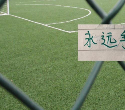 北京国安好消息法比奥林良铭李磊都能回来