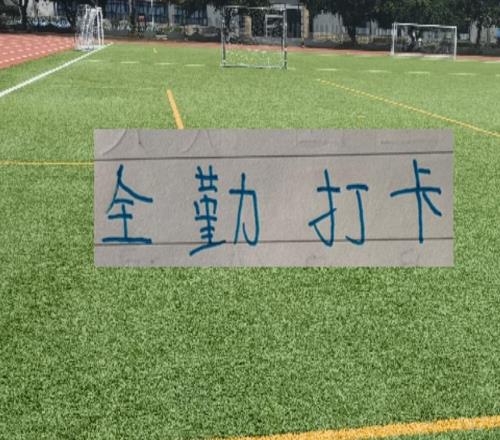 前10轮！成都蓉城打卡全勤外援就有3个申花2个，其他豪门更加少